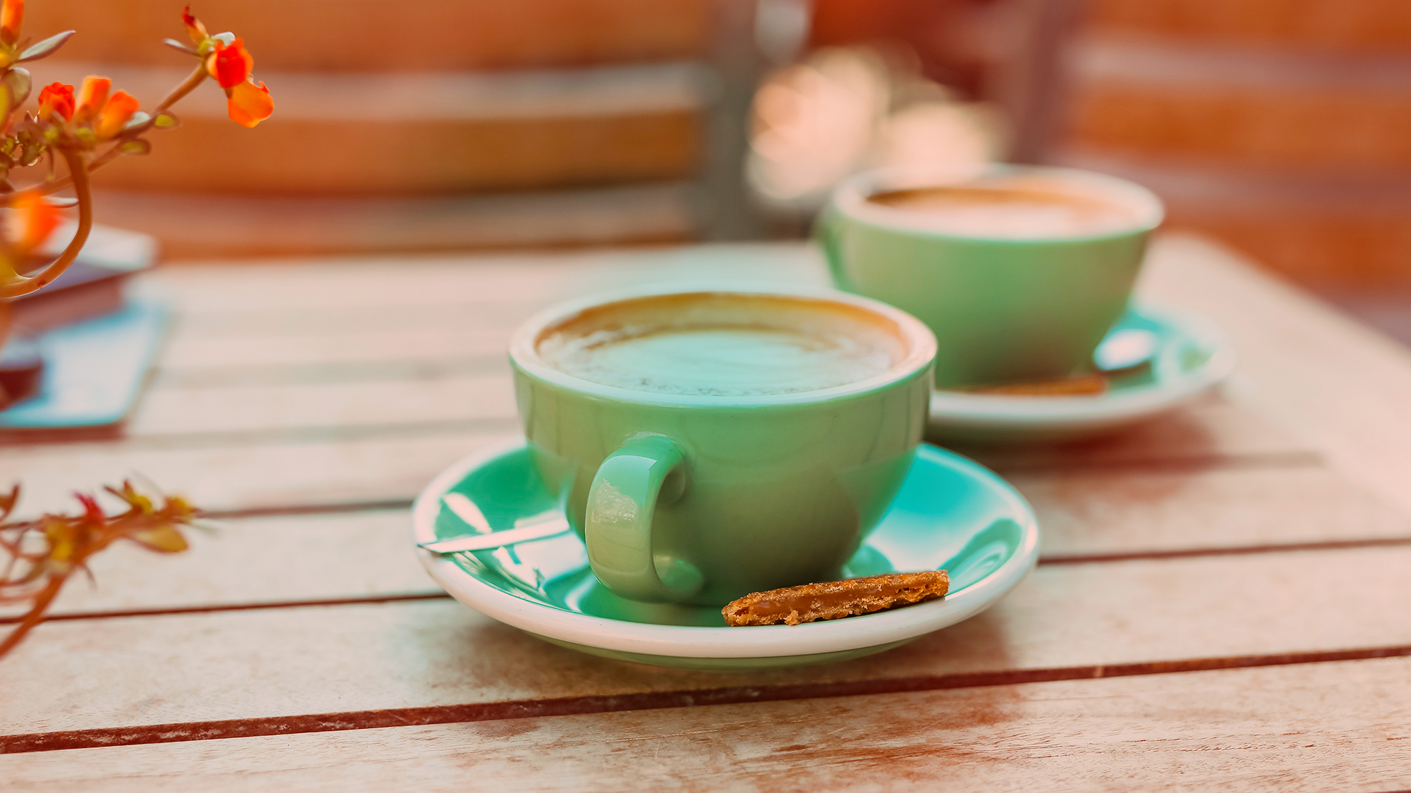 DISTRIBUIMOS CAFÉ ILLY